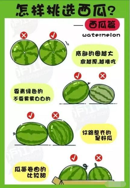 娱乐吃瓜渠道哪里找