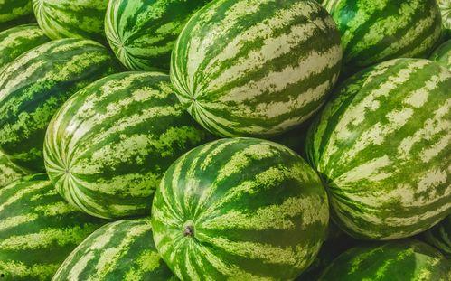 娱乐吃瓜渠道哪里找