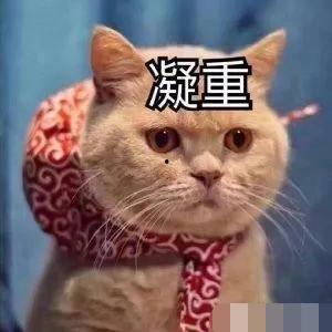 吃瓜娱乐赵小瞒鱼界显眼包,吃瓜娱乐界的焦点人物