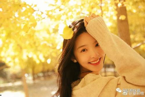 小哇吃瓜娱乐博主微博,揭秘娱乐圈幕后故事,带你领略明星真实一面”